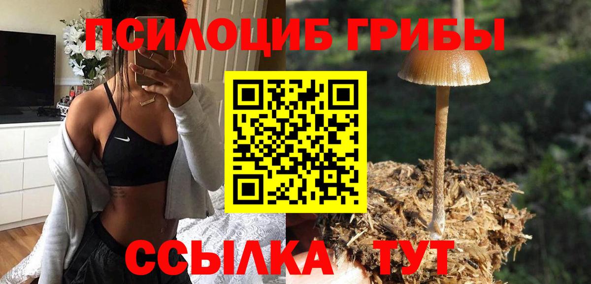 Ковров  Псилоцибиновые грибы Cubensis  Галлюциногенные грибы ЛСД  цены   Вход с VPN 